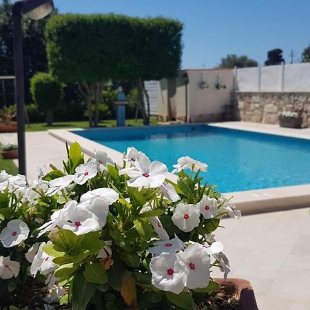Villa Sesife 아볼라 외부 사진
